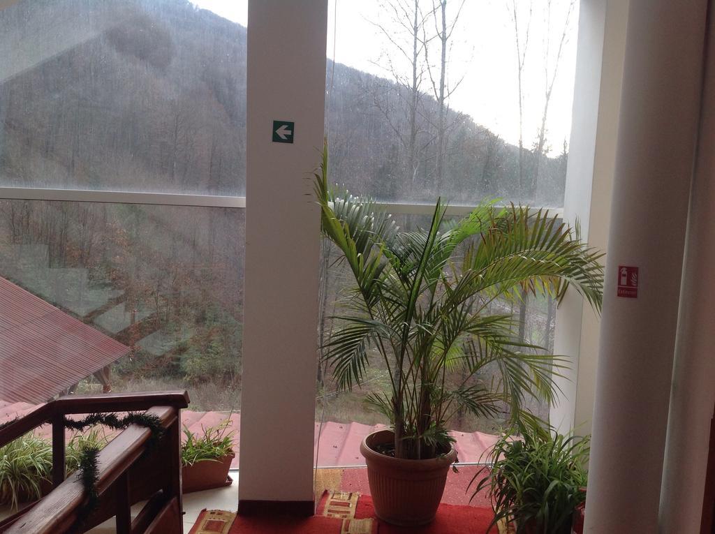 Hotel Panoramic โมนาซา ห้อง รูปภาพ